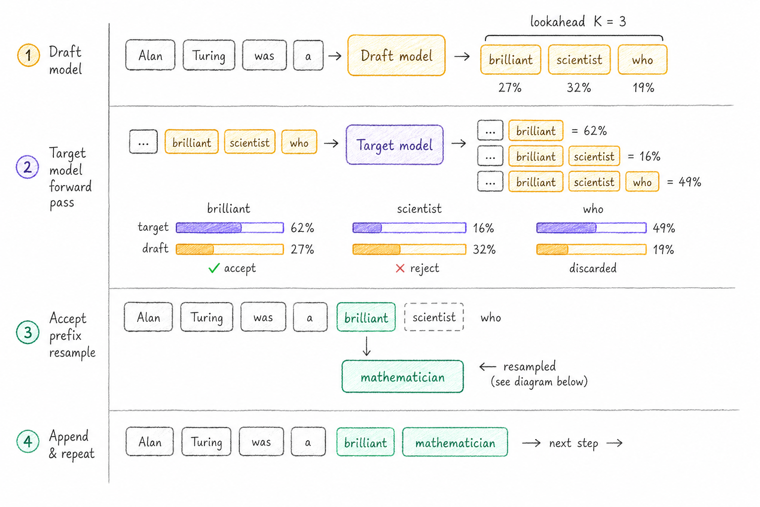 The speculative decoding loop in four steps. 1) The draft model extends 'Alan Turing was a' with a lookahead of K=3 tokens: brilliant, scientist, who. 2) The target model scores the whole sequence in one forward pass, giving each drafted token its own probability. 3) Accept the matching prefix ('brilliant'), reject at the first disagreement ('scientist'), and resample a replacement ('mathematician'), discarding everything after. 4) Append the accepted tokens and repeat.